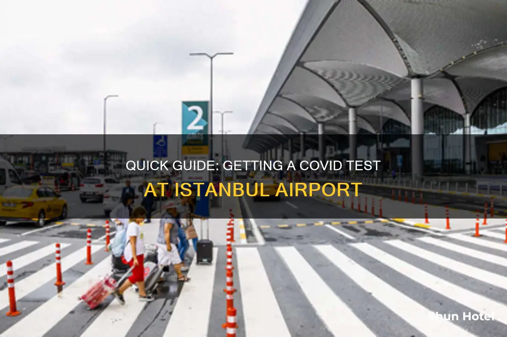 how to get a covid test at istanbul airport