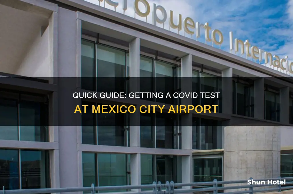 how to get a covid test in mexico city airport