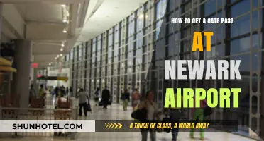 Efficiently Obtain a Gate Pass at Newark Airport: A Quick Guide
