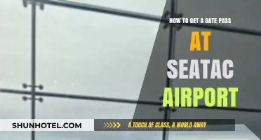 Your Guide to Obtaining a Gate Pass at SeaTac Airport