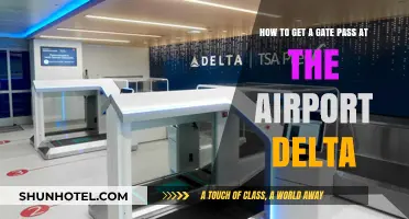 Delta Airport Gate Pass: A Quick Guide to Accessing the Terminal