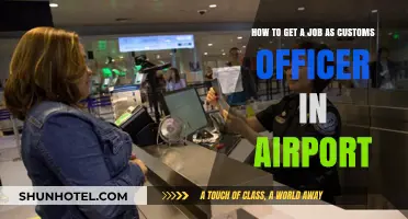 Secure Your Career: A Guide to Becoming an Airport Customs Officer