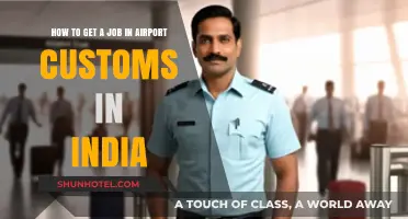 Securing a Career in Indian Airport Customs: A Comprehensive Guide