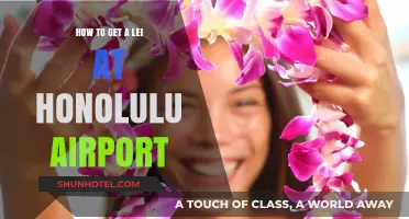 Arrive in Style: Where to Get a Lei at Honolulu Airport