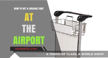 Effortless Airport Travel: Securing a Luggage Cart with Ease