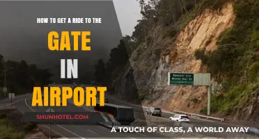 Effortless Airport Navigation: Tips for Securing a Gate Ride