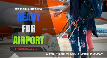 Preparing Your Service Dog for Stress-Free Airport Travel: Essential Tips