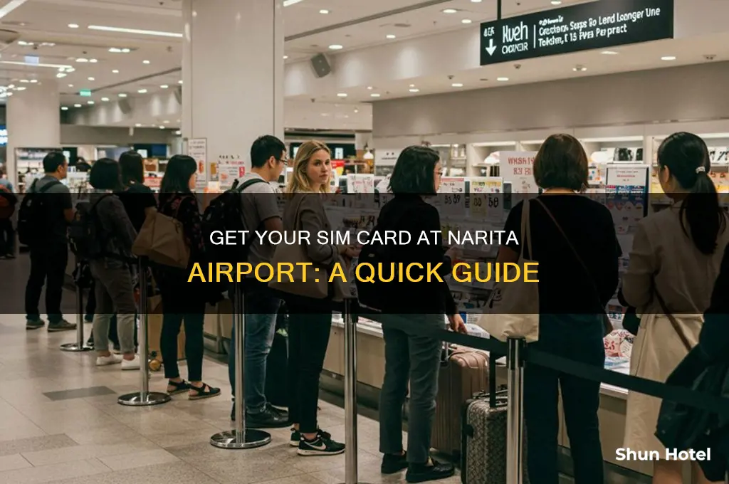 how to get a sim card from nartia airport