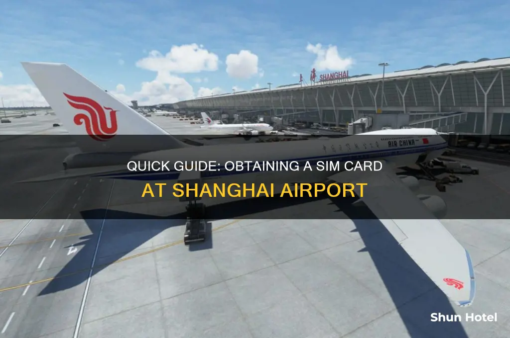 how to get a sim card in shanghai airport