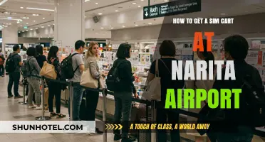Easy Guide: Getting a SIM Card at Narita Airport, Japan