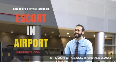 Navigating Airport Assistance: Securing a Special Needs Escort for Smooth Travel
