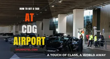 Easy Guide to Catching a Taxi at CDG Airport Paris