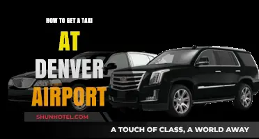Easy Guide to Catching a Taxi at Denver Airport Quickly