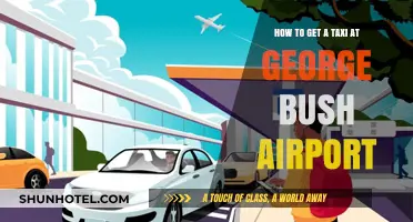 Easy Taxi Tips for George Bush Airport Arrivals and Departures