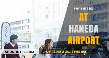 Easy Guide to Catching a Taxi at Haneda Airport Quickly
