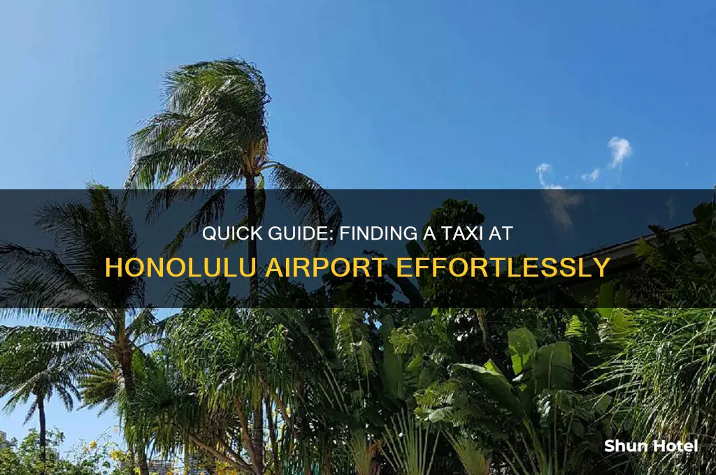 how to get a taxi at honolulu airport