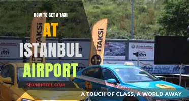 Efficiently Navigating Istanbul Airport: Your Ultimate Taxi Guide