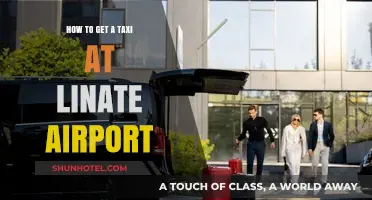 Easy Taxi Access: Navigating Linate Airport's Transport Options