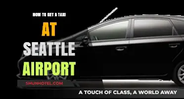 Efficiently Catching a Taxi at Seattle-Tacoma International Airport: A Guide