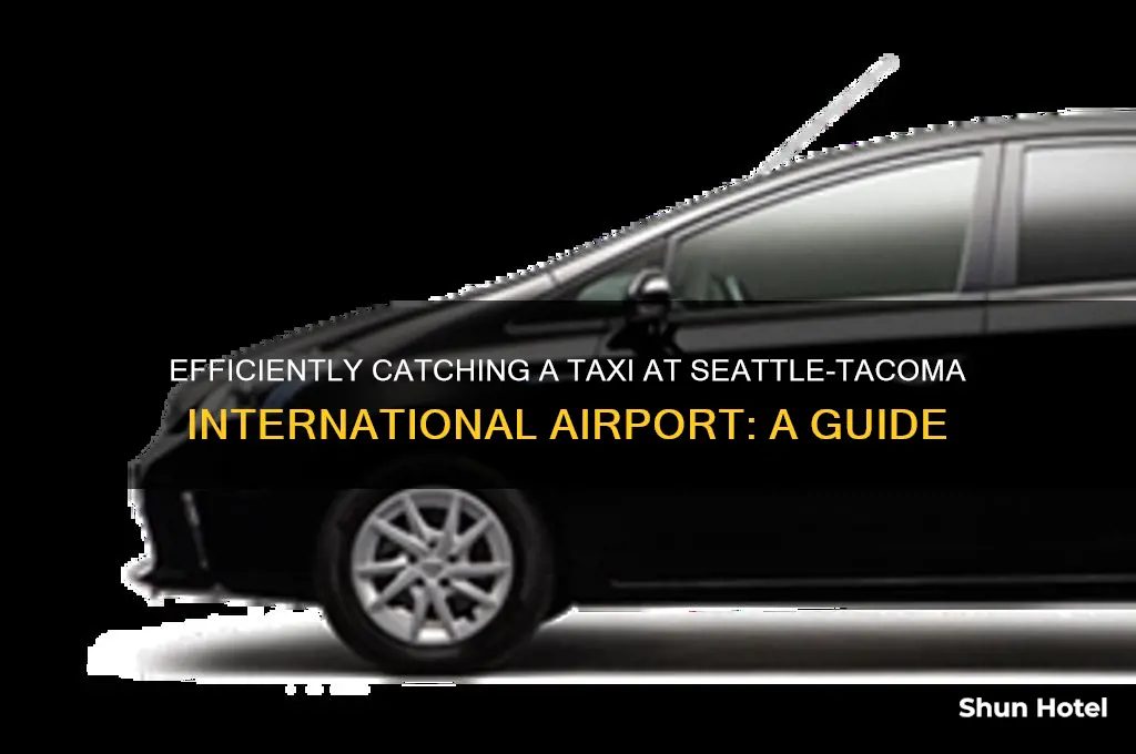 how to get a taxi at seattle airport