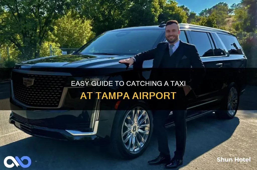 how to get a taxi at tampa airport