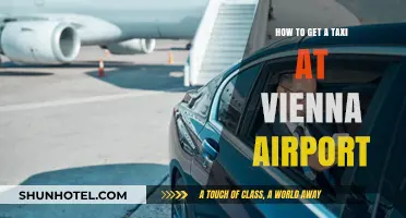 Easy Guide to Catching a Taxi at Vienna Airport
