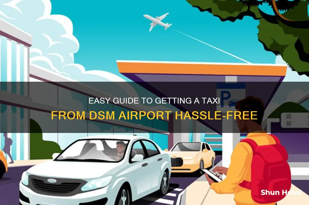 how to get a taxi dsm airport