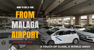 Effortless Taxi Travel: Your Guide to Leaving Malaga Airport
