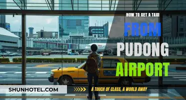 Easy Guide to Catching a Taxi from Pudong Airport