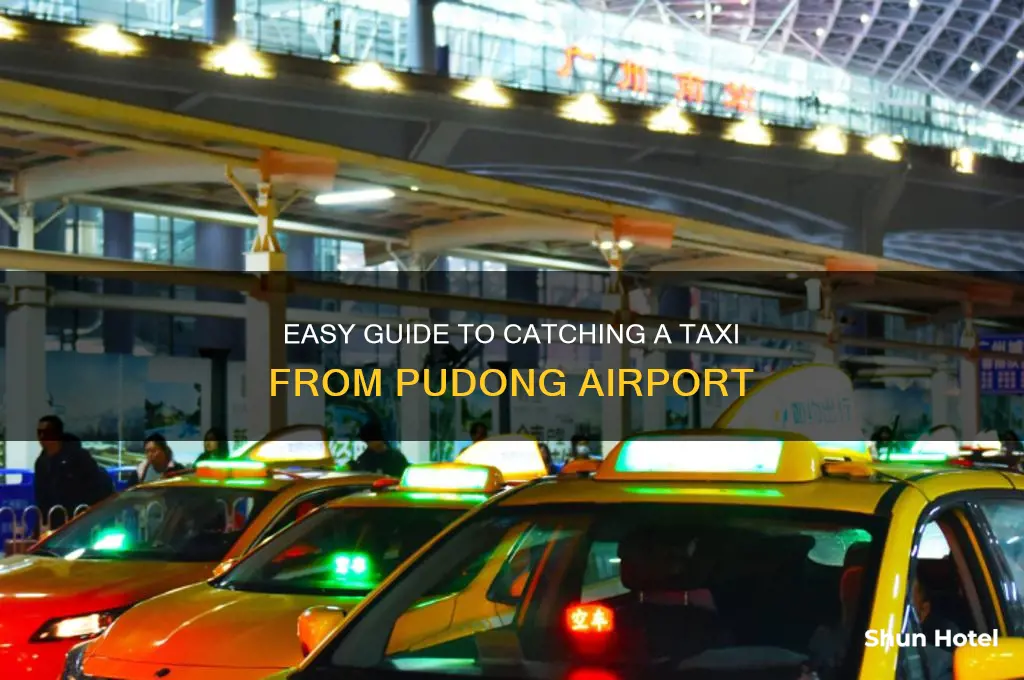 how to get a taxi from pudong airport