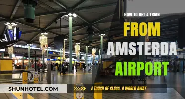 Navigating Amsterdam Airport: Easy Steps to Catch Your Train
