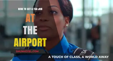 Secure Your TSA Career: Airport Job Application Guide