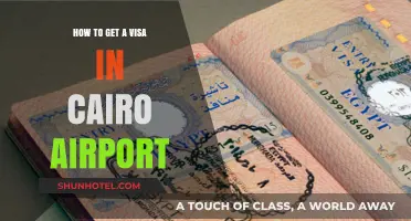 Cairo Airport Visa Guide: Quick Steps for On-Arrival Approval