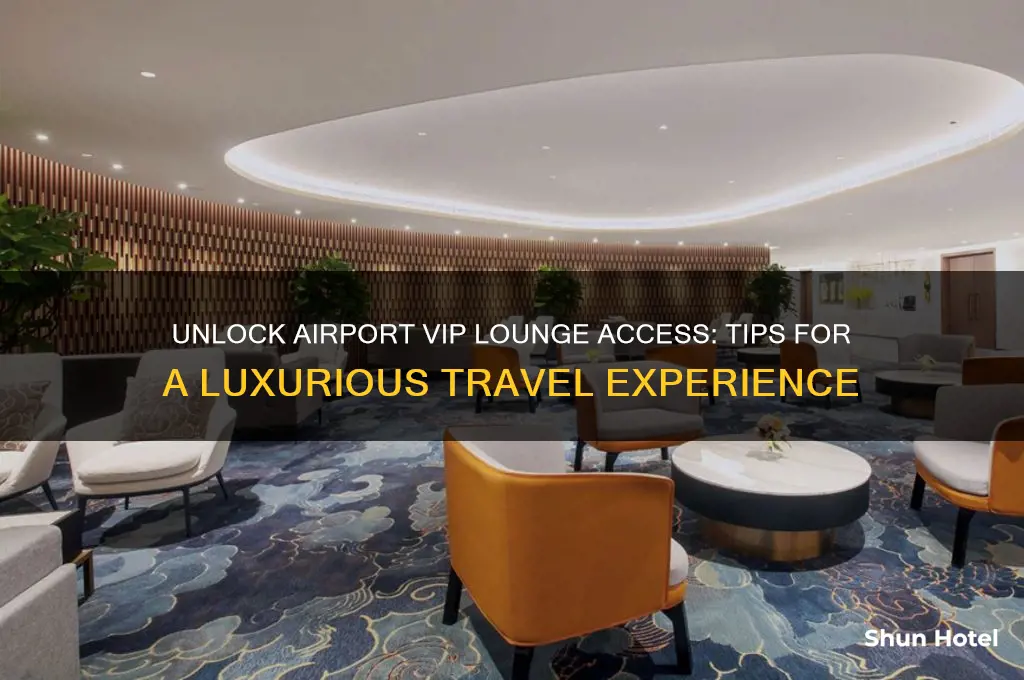 how to get access to airport vip lounges