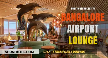 Unlock Bangalore Airport Lounge Access: Tips and Tricks for Travelers