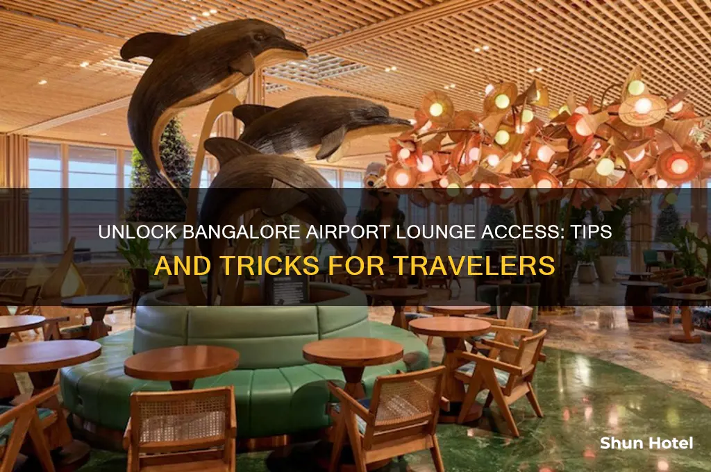 how to get access to bangalore airport lounge