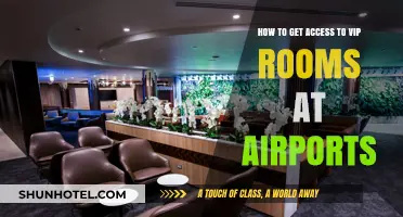 Unlocking Airport VIP Lounges: Insider Tips for Exclusive Access