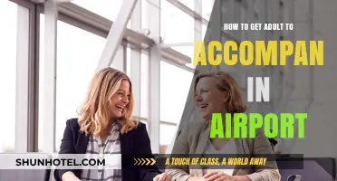 Adult Airport Companions: Tips for Smooth Travel Assistance