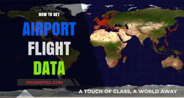 Accessing Airport Flight Data: A Comprehensive Guide for Travelers