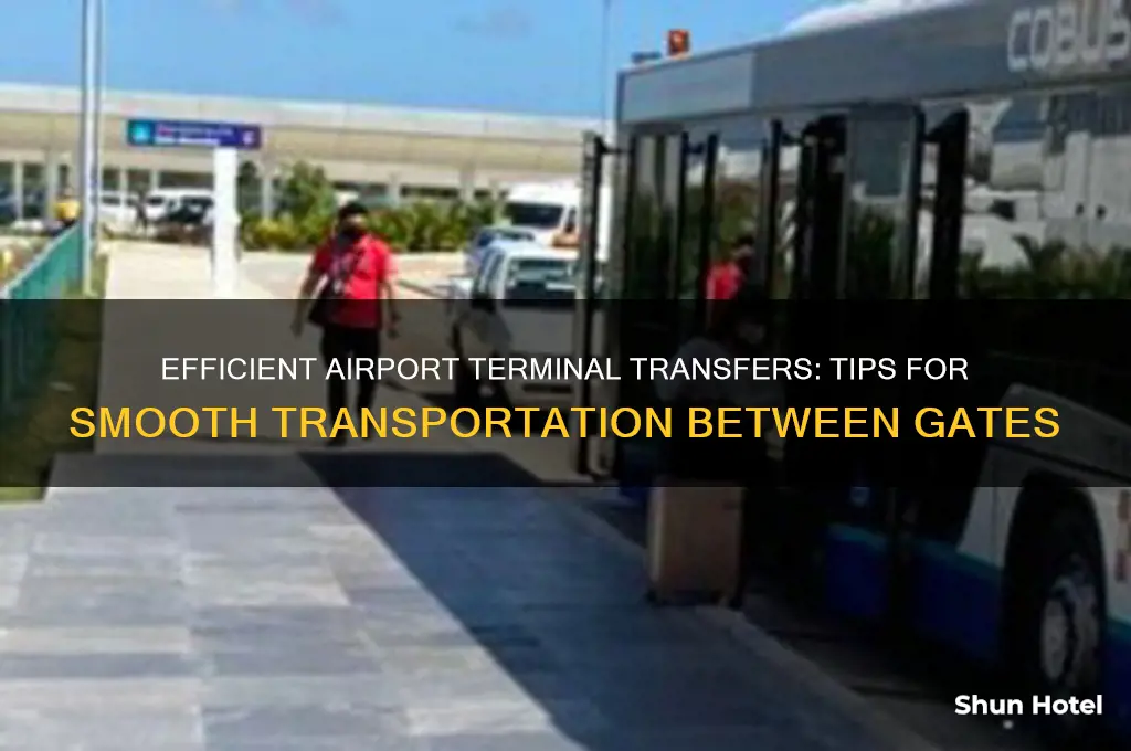 how to get airport transportation between terminals