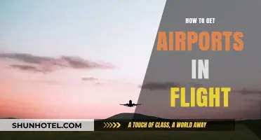 Mastering Airport Access: Tips to Get Airports In-Flight