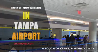 Easy Guide to Renting an Alamo Car at Tampa Airport