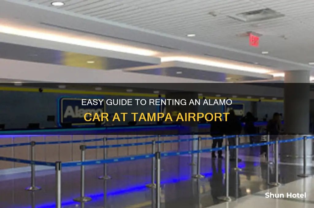 how to get alamo car rental in tampa airport