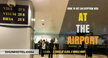 Quick Guide: Obtaining an Egyptian Visa Upon Airport Arrival