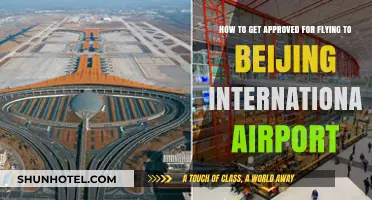 Essential Steps to Secure Approval for Beijing International Airport Flights
