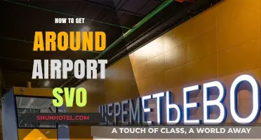 Navigating Moscow's Sheremetyevo Airport: Efficient Tips for Smooth Transit