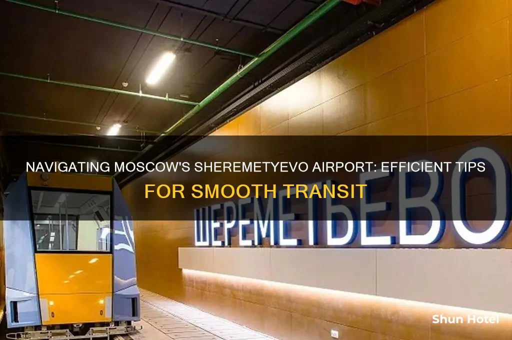 how to get around airport svo