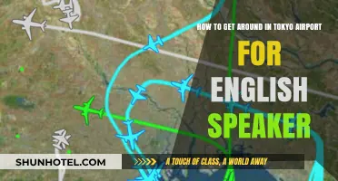 Navigating Tokyo Airport: A Simple English Speaker's Guide