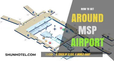 Navigating MSP Airport: Efficient Tips for Smooth Travel and Transit