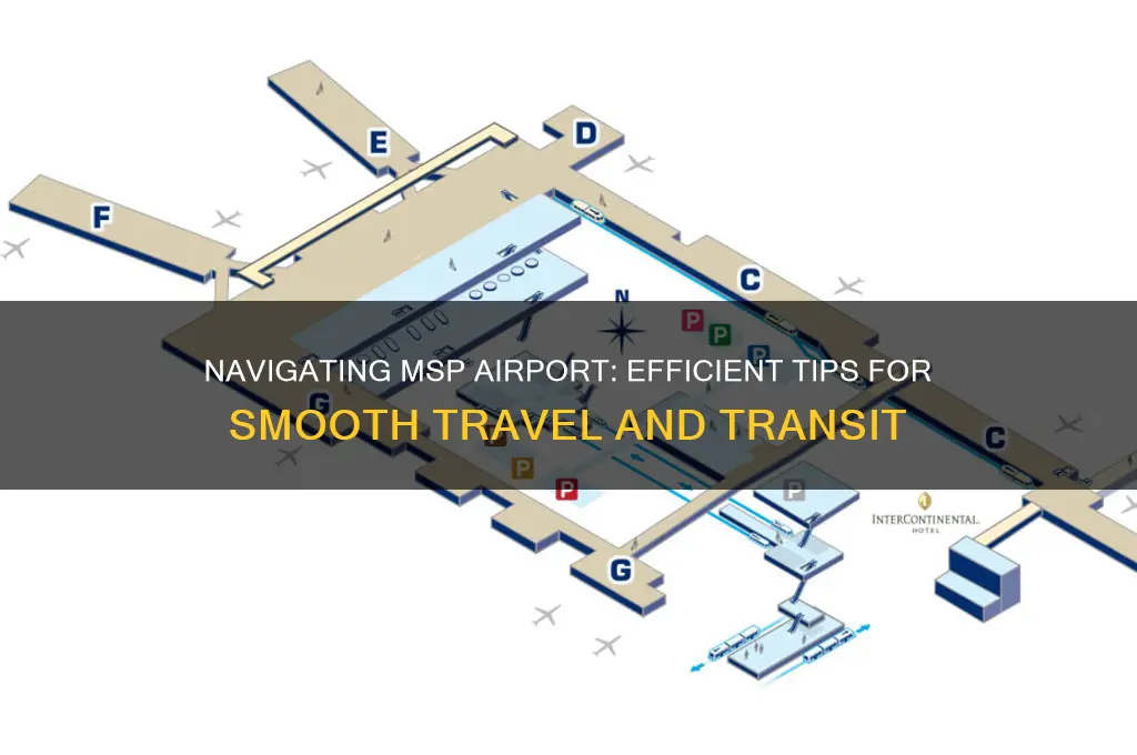 how to get around msp airport